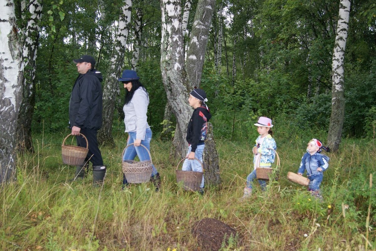 Семейный летний поход в лес по грибы, да по ягоды (часть 1)